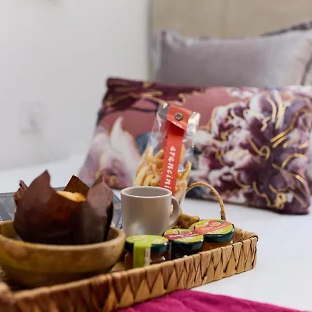 Old Town Casa Nevia شقة دوبروفينك